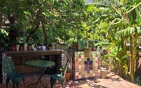 Fig Tree Cottage Close To Sea And Shops